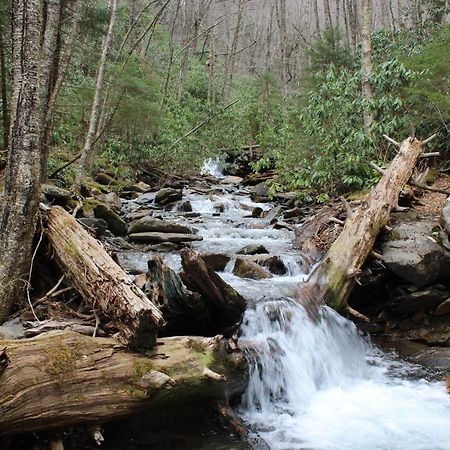 Gorgeous Large Mountain View Cabin W Hot Tub, Free Wifi, Games Villa Sevierville Exterior photo